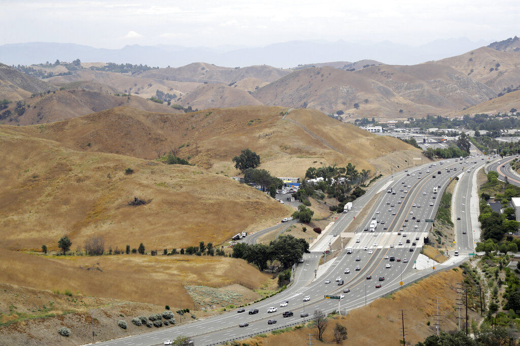 Wildlife Crossing Southern California